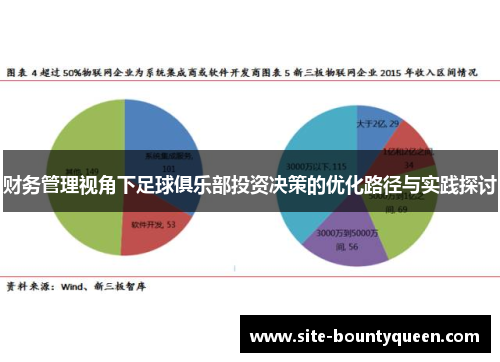 财务管理视角下足球俱乐部投资决策的优化路径与实践探讨 财务管理视角下足球俱乐部投资决策的优化路径与实践探讨