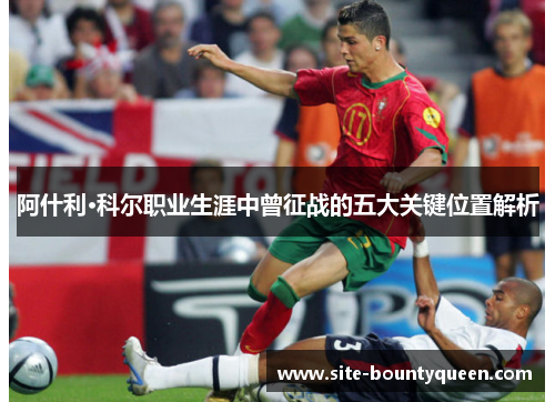 阿什利·科尔职业生涯中曾征战的五大关键位置解析