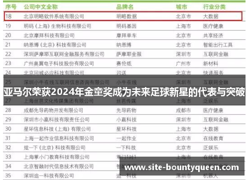 亚马尔荣获2024年金童奖成为未来足球新星的代表与突破 亚马尔荣获2024年金童奖成为未来足球新星的代表与突破