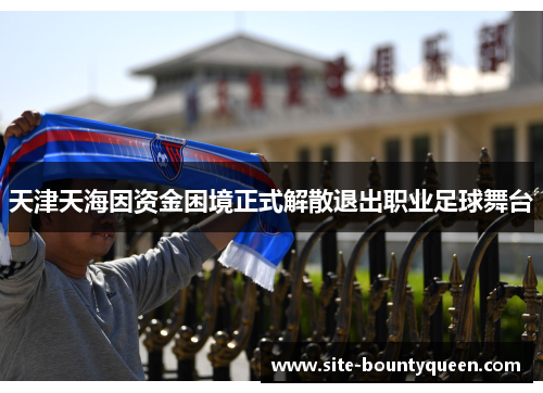 天津天海因资金困境正式解散退出职业足球舞台