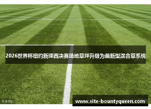 2026世界杯纽约新泽西决赛场地草坪升级为最新型混合草系统