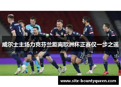 威尔士主场力克芬兰距离欧洲杯正赛仅一步之遥